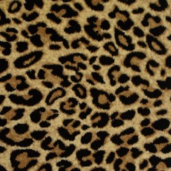 Spotted Leopard